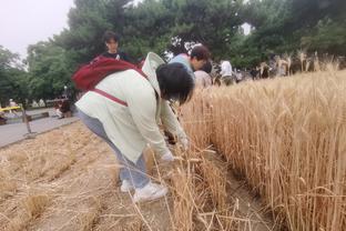 雷霆主帅：建队需耐心&不能跳过应有步骤 掘金也磨合调整了好几年